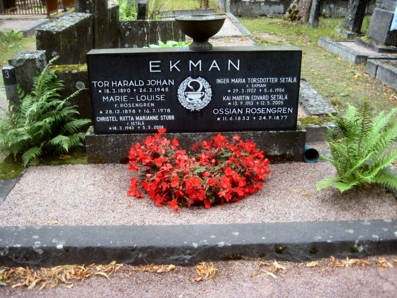 christel riitta marianne stubb